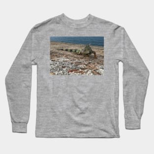 Iguana in Puerto Rico Long Sleeve T-Shirt